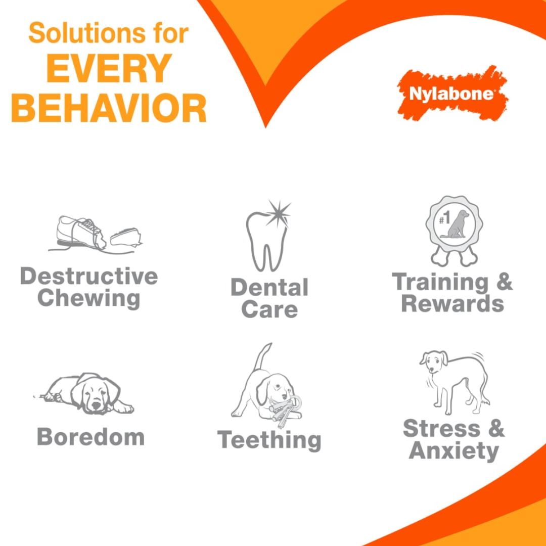 Nylabone Puppy Pacifier Teething Toy