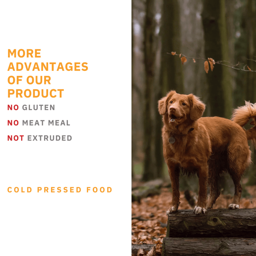 Primal Spirit 65% Oceanland Dog Food