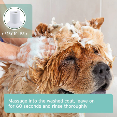 AniForte Fur Harmony Coconut Shampoo for Dogs