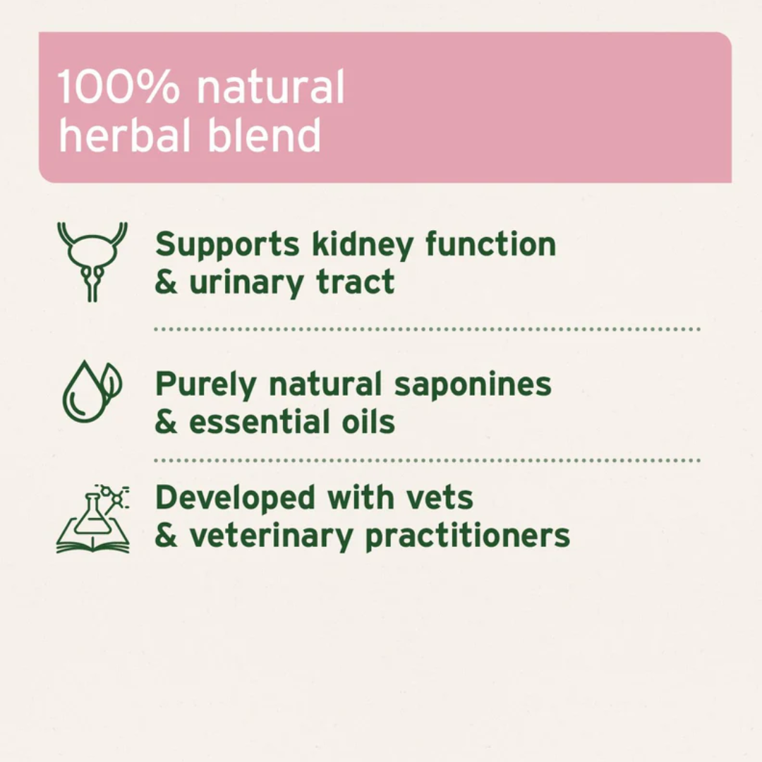 Aniforte Kidney Vetal Powder