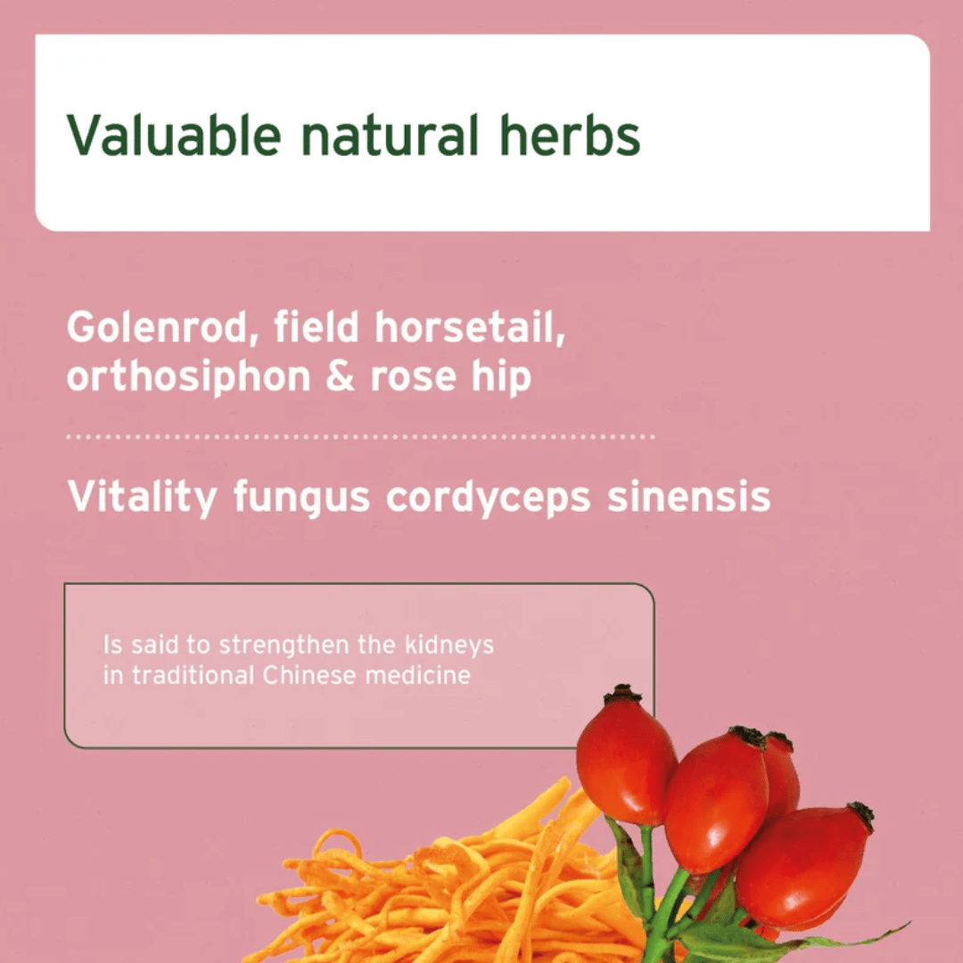 Aniforte Kidney Vetal Powder