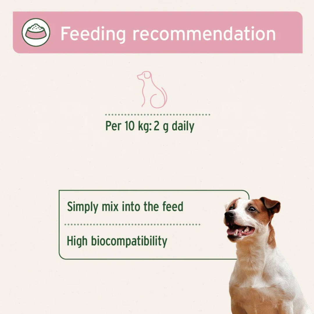 Aniforte Kidney Vetal Powder