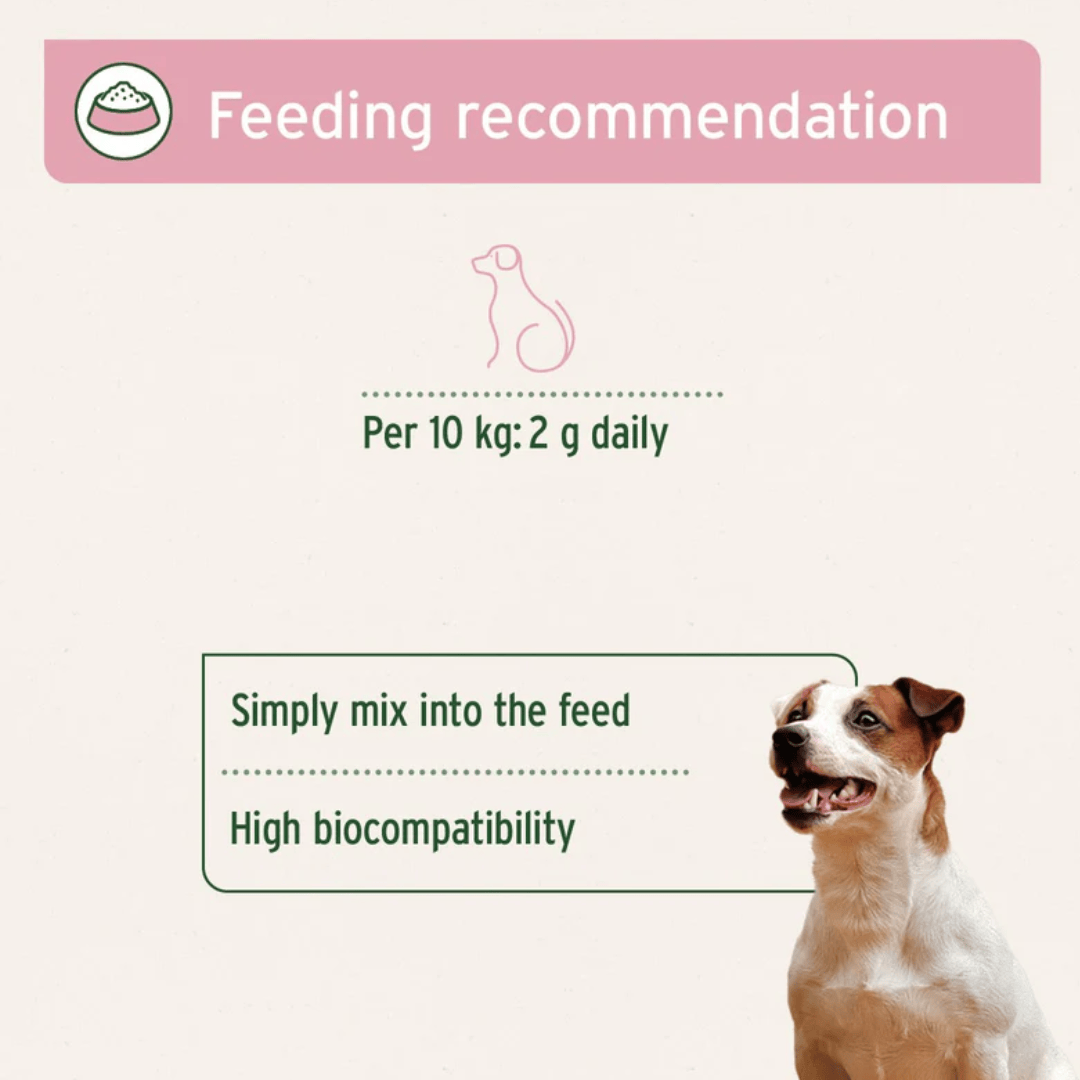 Aniforte Kidney Vetal Powder