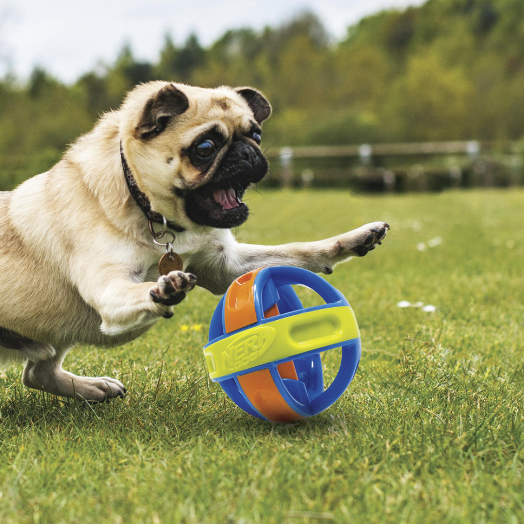 Nerf Dog Giggle Ball 5"