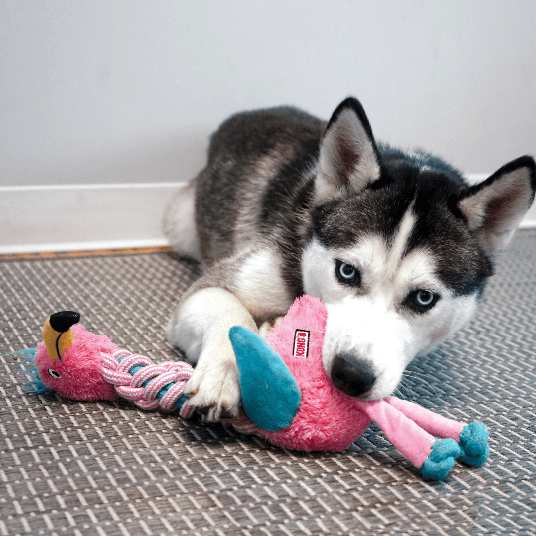 Kong Knots Twists Dog Toy