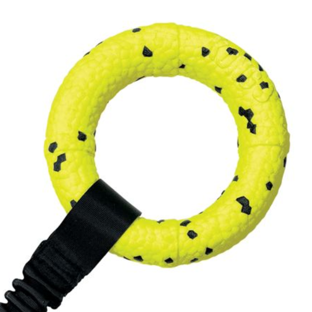 Kong Reflex Dog Toy