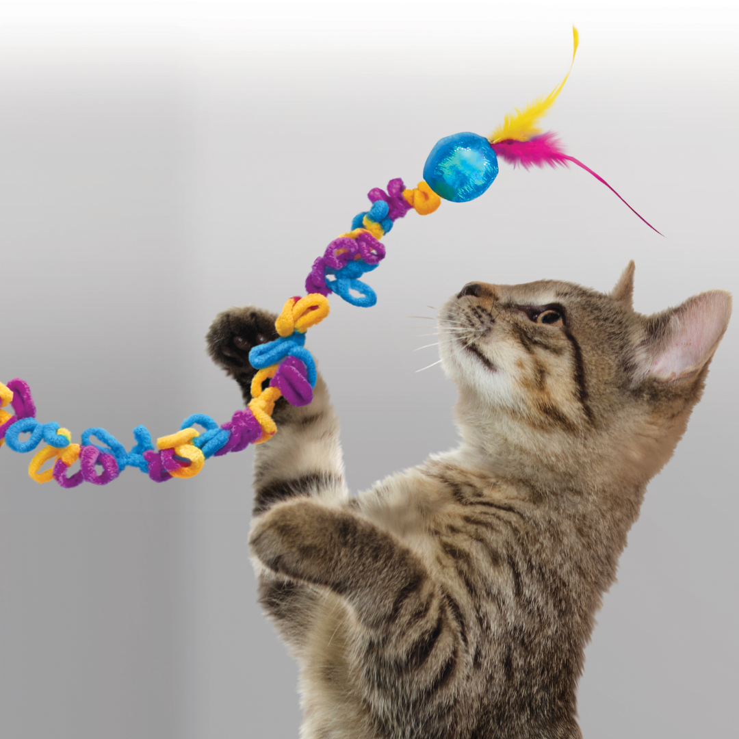 Kong Cat Teaser Loopz Toy