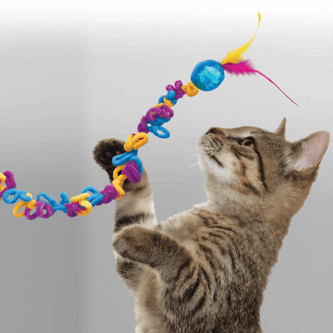 Kong Cat Teaser Loopz Toy