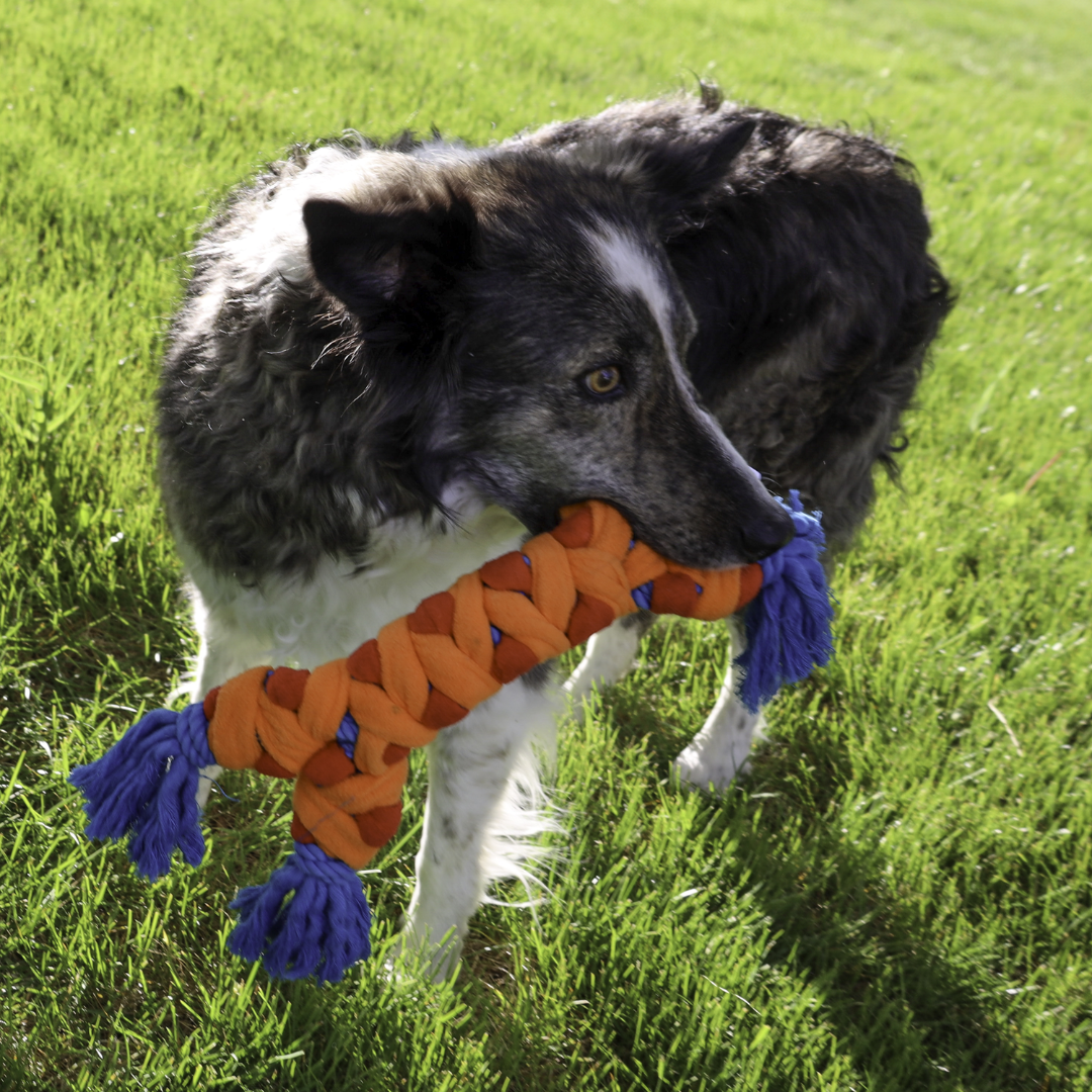 Kong Rope Rally Dog Toy