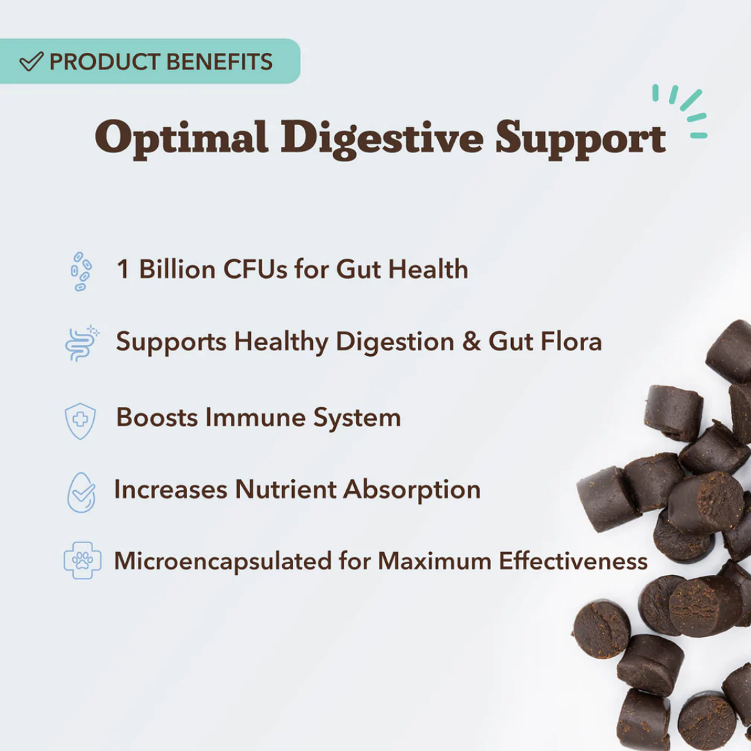 Natural Dog Company Probiotic Chews