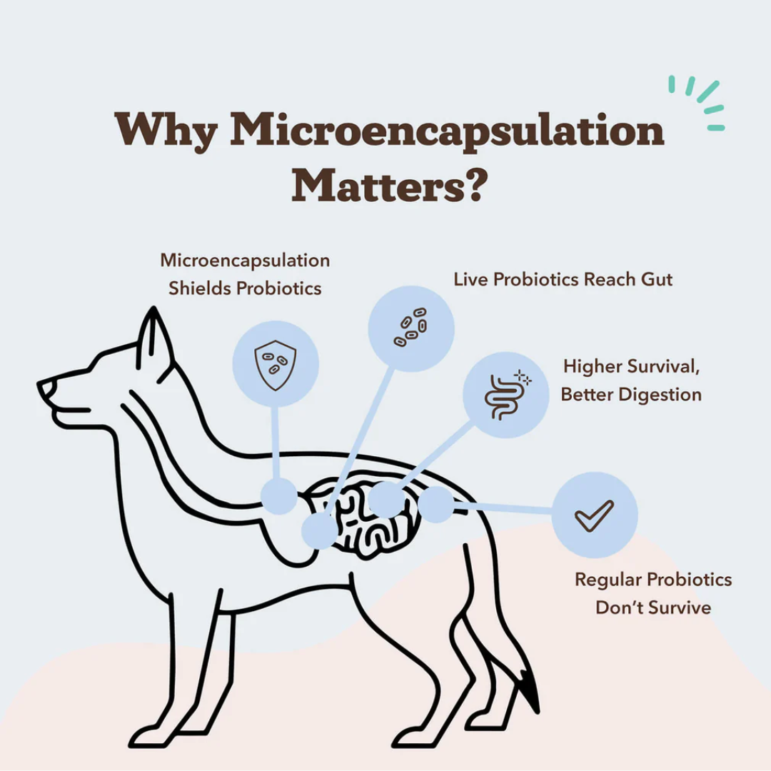 Natural Dog Company Probiotic Chews