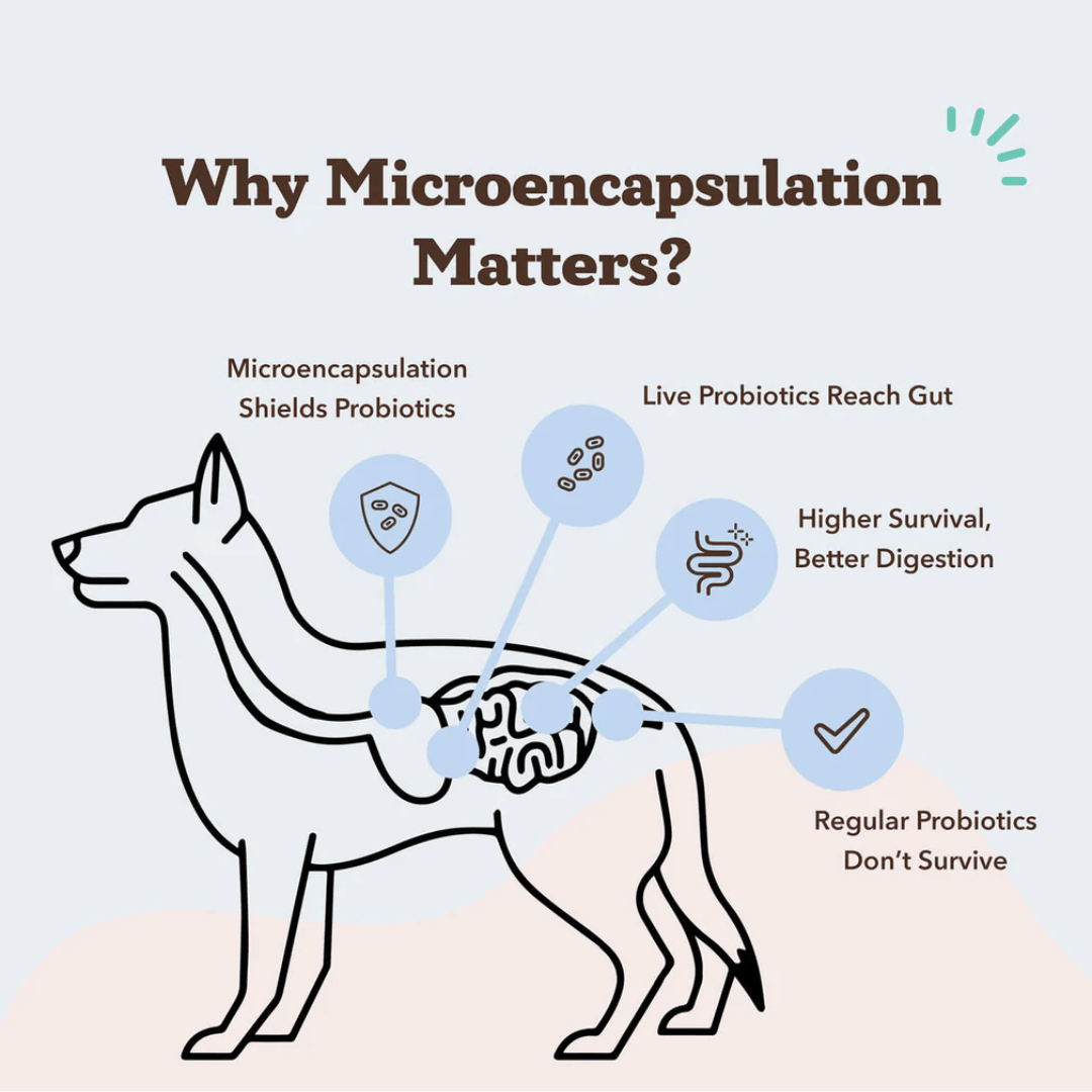 Natural Dog Company Probiotic Chews