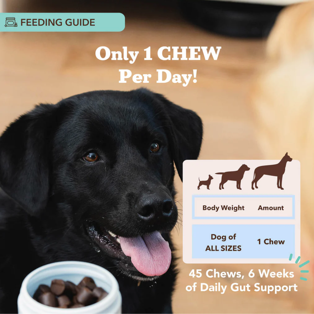 Natural Dog Company Probiotic Chews