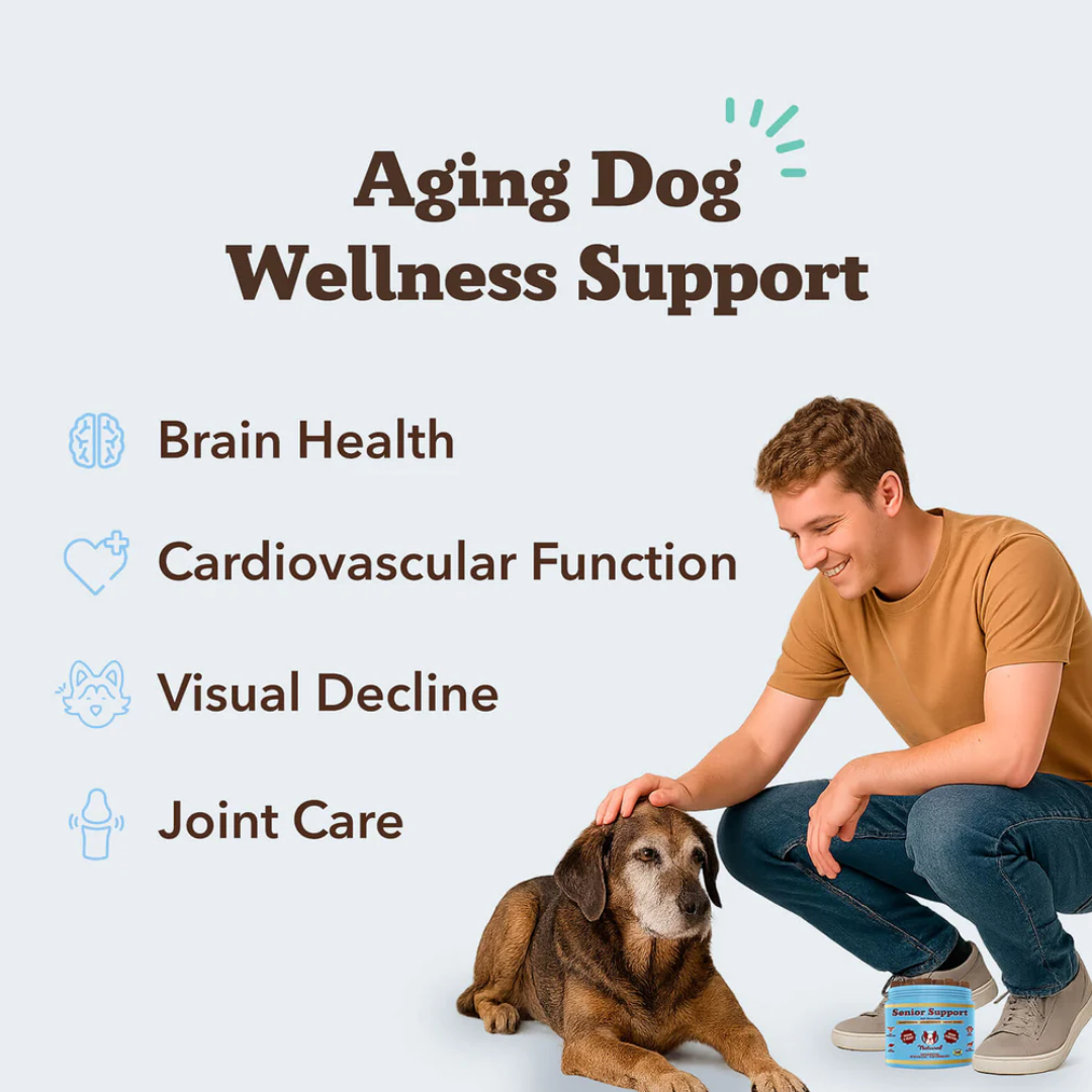 Natural Dog Company Senior Support
