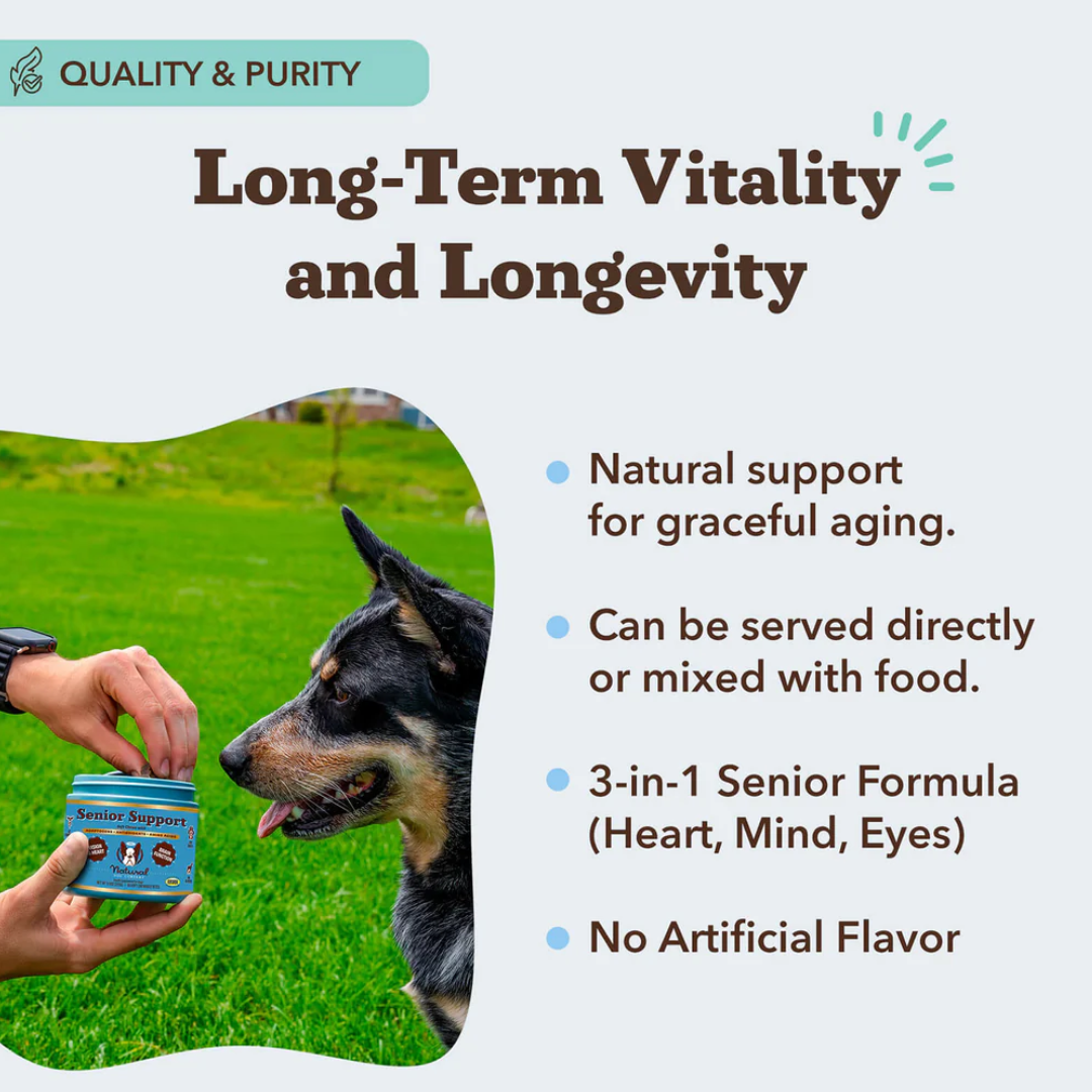 Natural Dog Company Senior Support