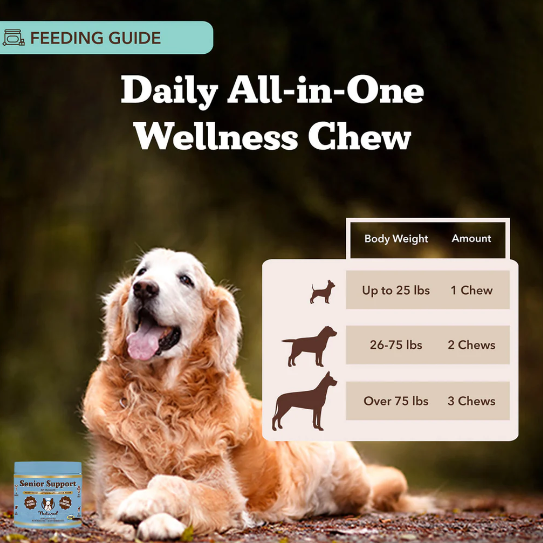 Natural Dog Company Senior Support