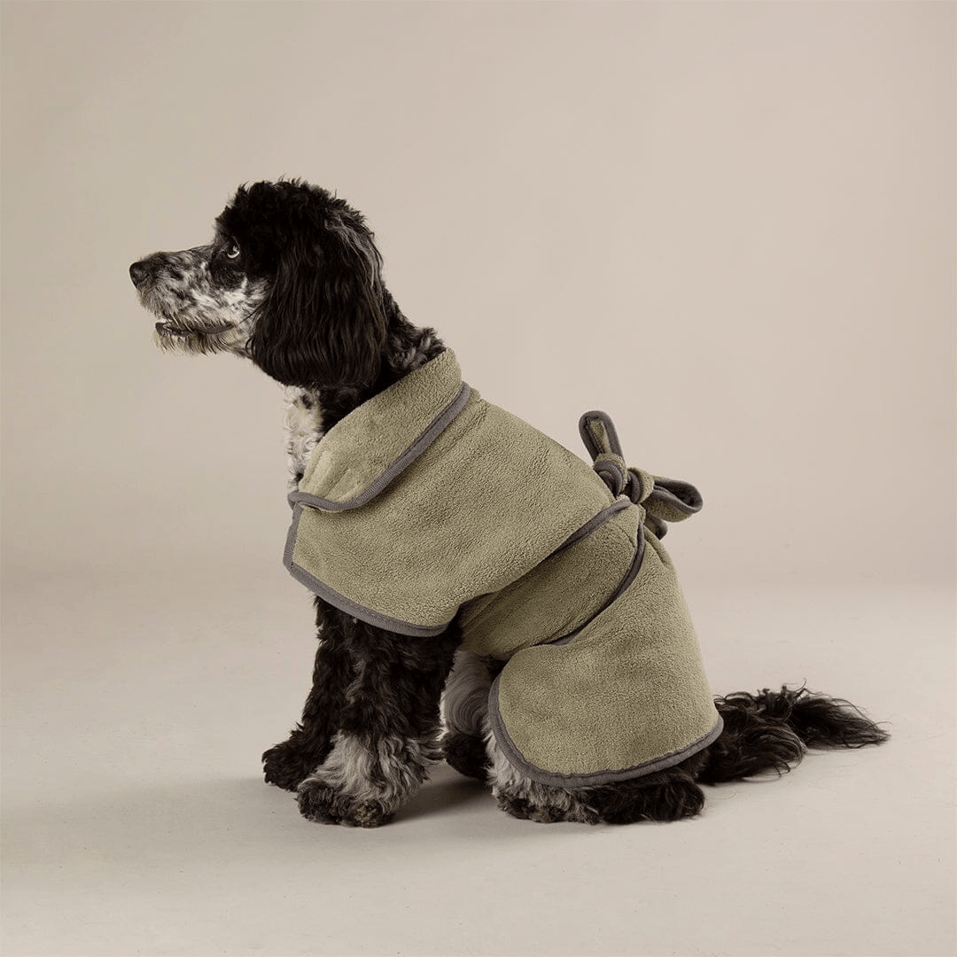 Dog wearing a green Scruffs Expedition Microfibre Dog Drying Coat with grey trim on a beige background