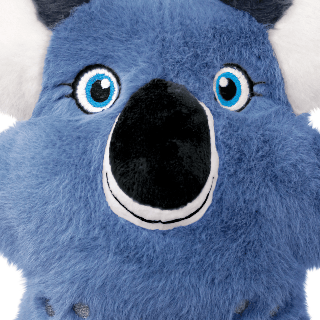 Close-up of a blue kong koala plush toy face with large blue eyes, a black nose, white stitched smile, and white inner ears on a white background.