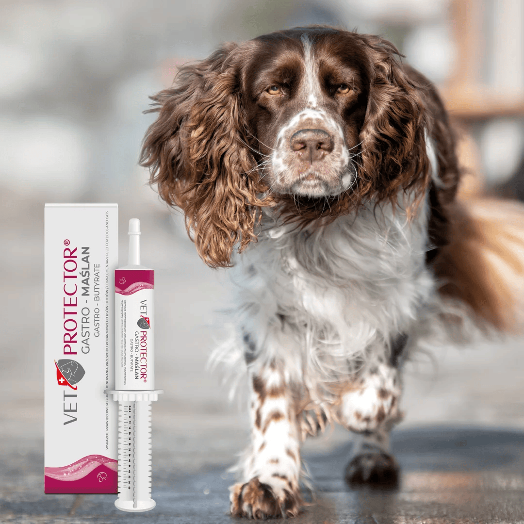 Vet Protector Gastro Butyrate - Digestive Supplement for Cats & Dogs - 60ml