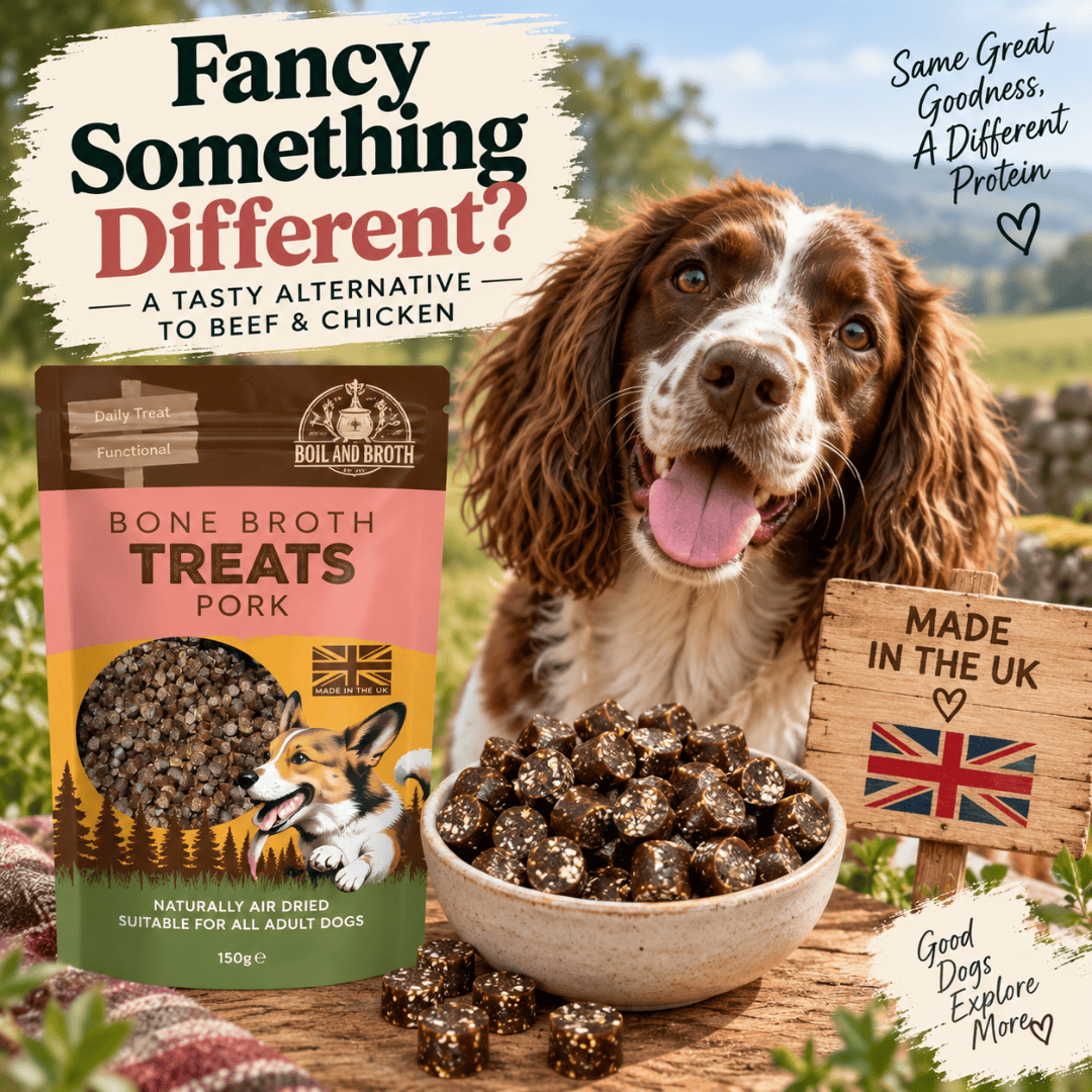 Boil & Broth Bone Broth Treats Pork 70g