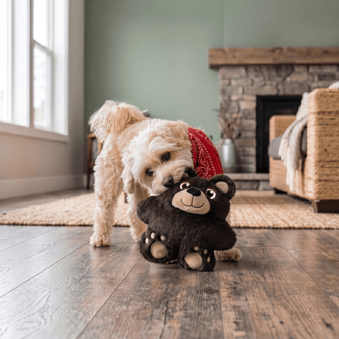 A small fluffy dog wearing a red bandana stands on a wooden floor in a cozy living room, playfully biting a plush Kong Snuzzles teddy bear toy.