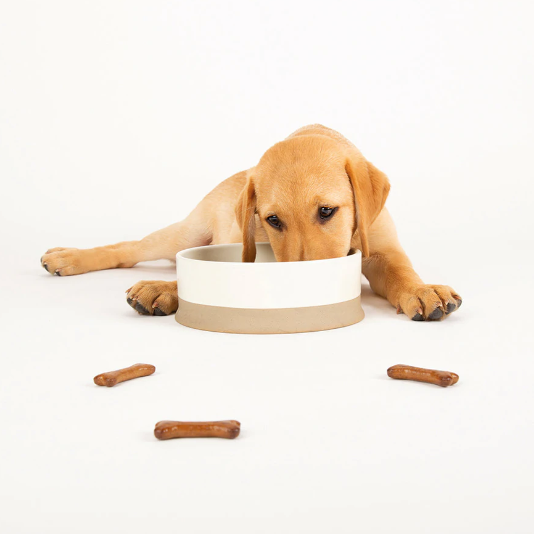 Scruffs Ceramic Non Tip Bowl - Cream