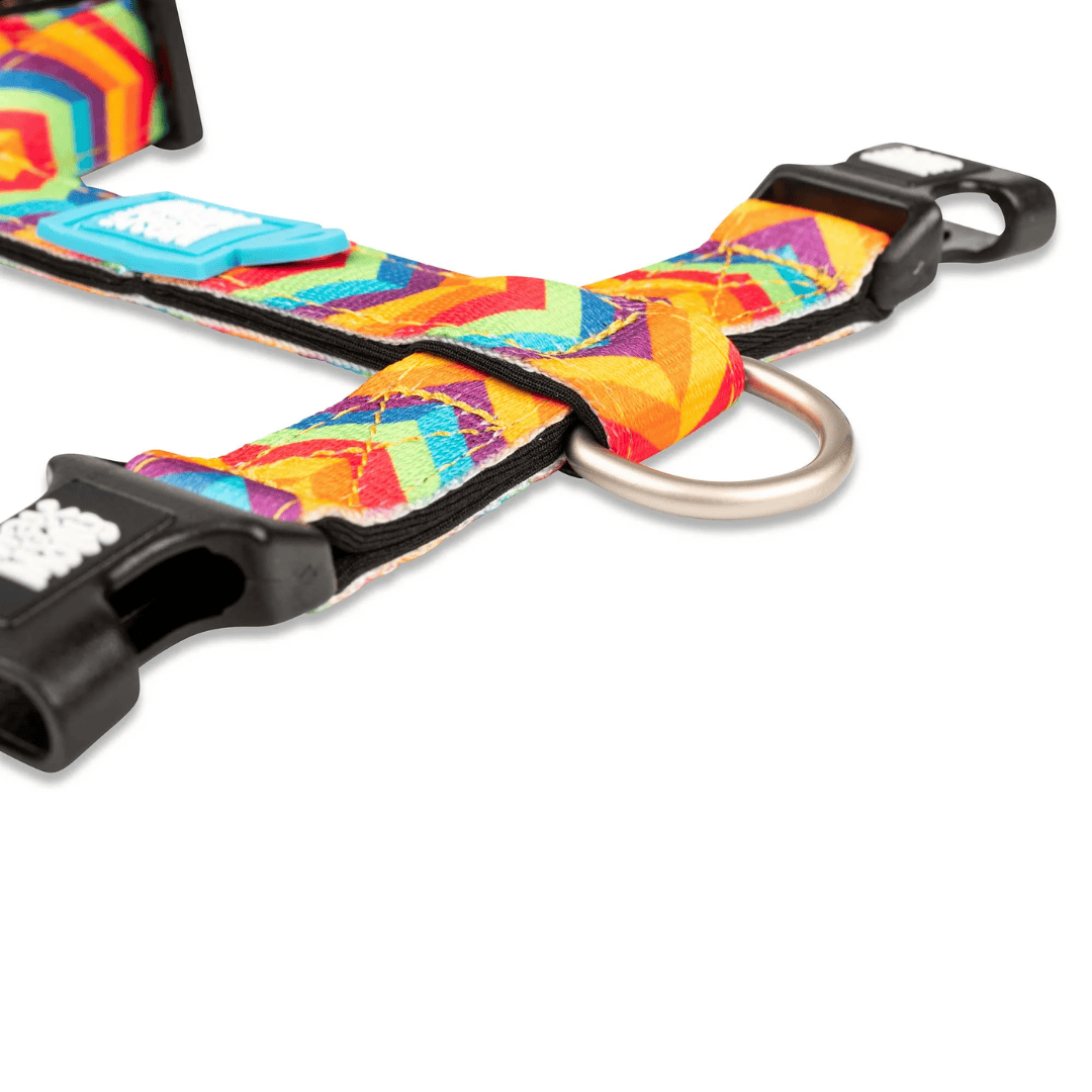 Max & Molly Summertime Dog Harness