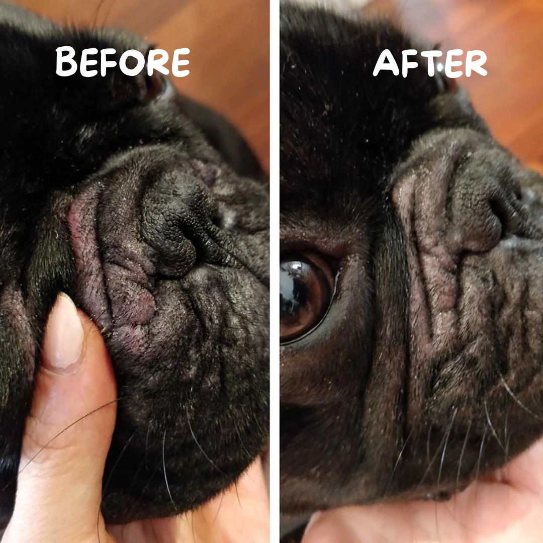 A before and after photo of a customer who used this product on their dog.