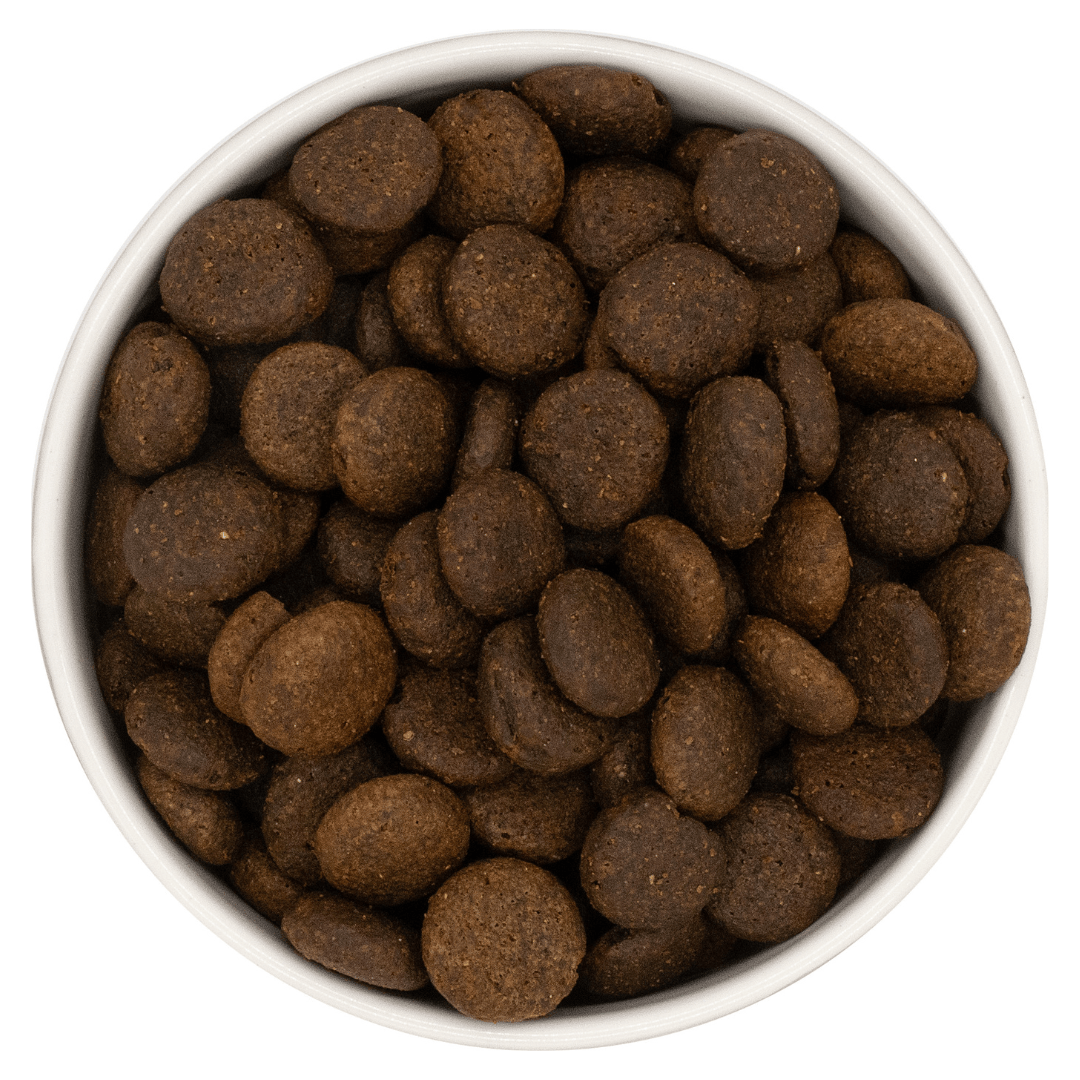 Nourish Rite Grain Free Large Breed Adult Dog Food - Salmon