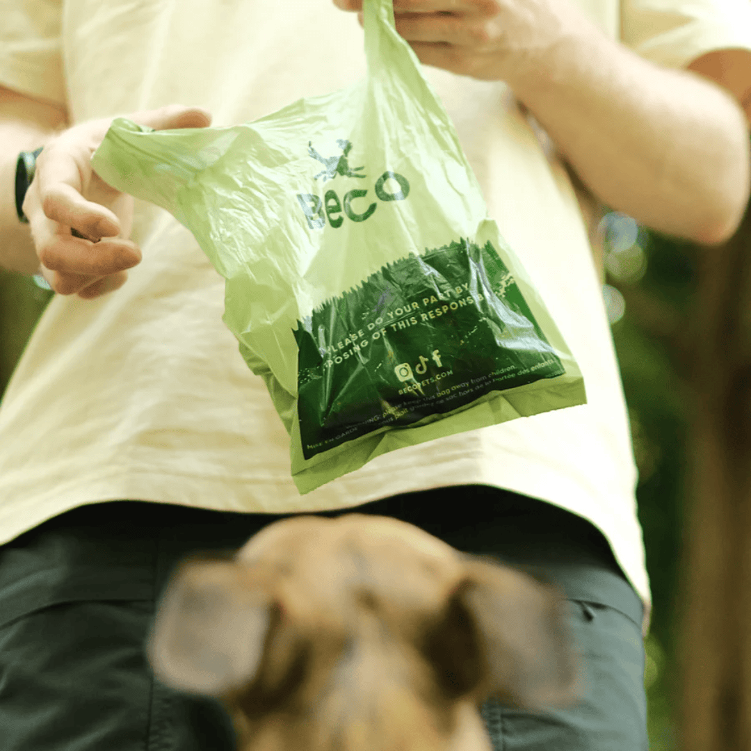Person holding a beco mint scented poop bag with a dog looking up at him.