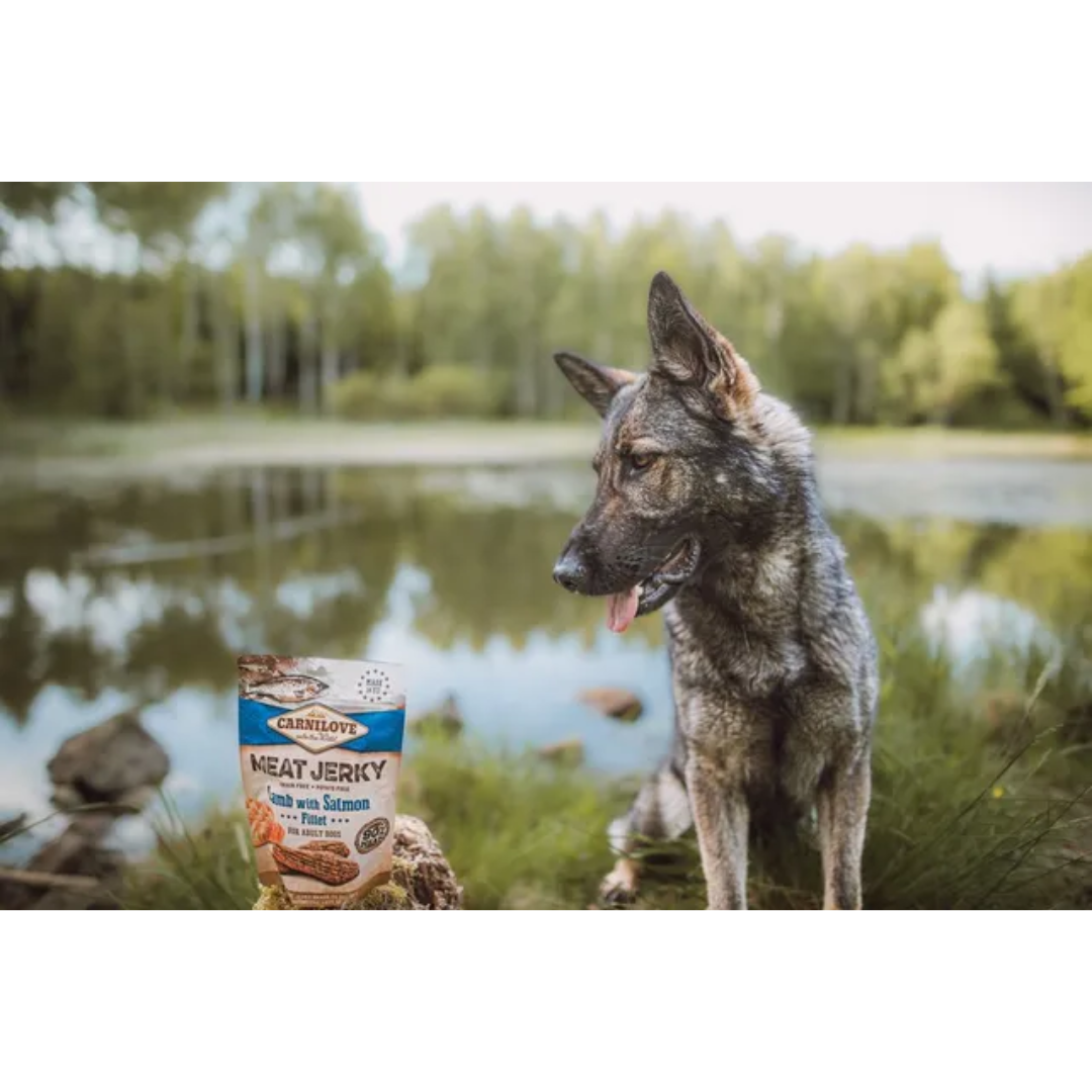 A German Shepherd dog posing beside a packet of Carnilove Lamb with Salmon jerky dog treats. There is a lake and trees in the background.