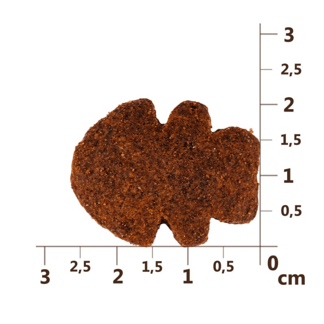 The measurements of the Carnilove Mackerel with Raspberry Crunchy Dog Treats. 2.5cm x 2cm