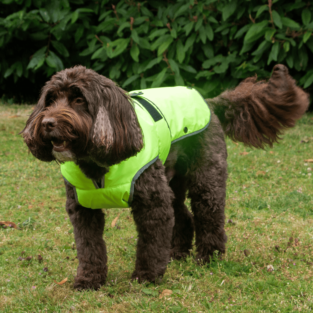 Ancol Stormguard Hi Vis Dog Coat