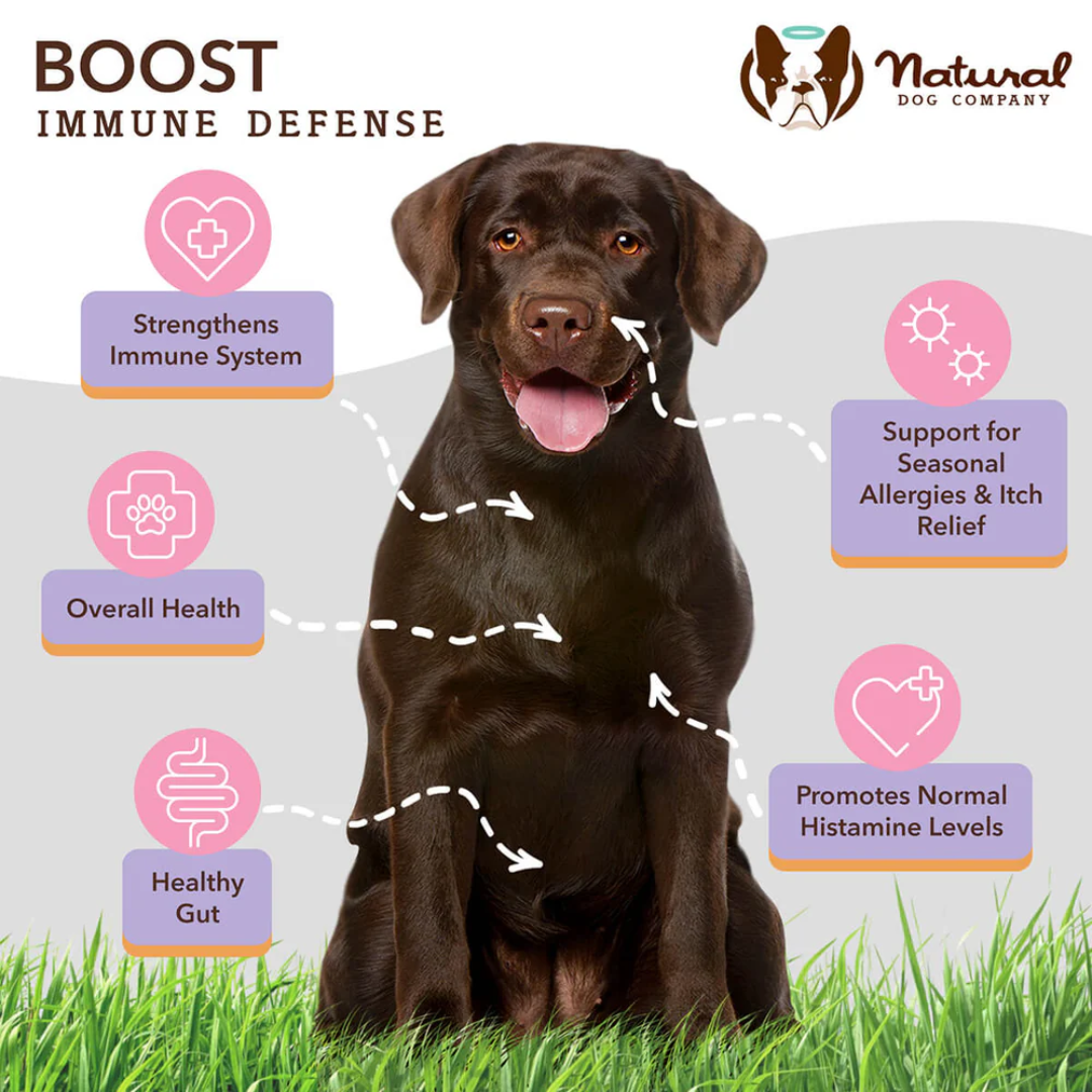 Some key benefits of the The Natural Dog Company Aller-Immune Chews