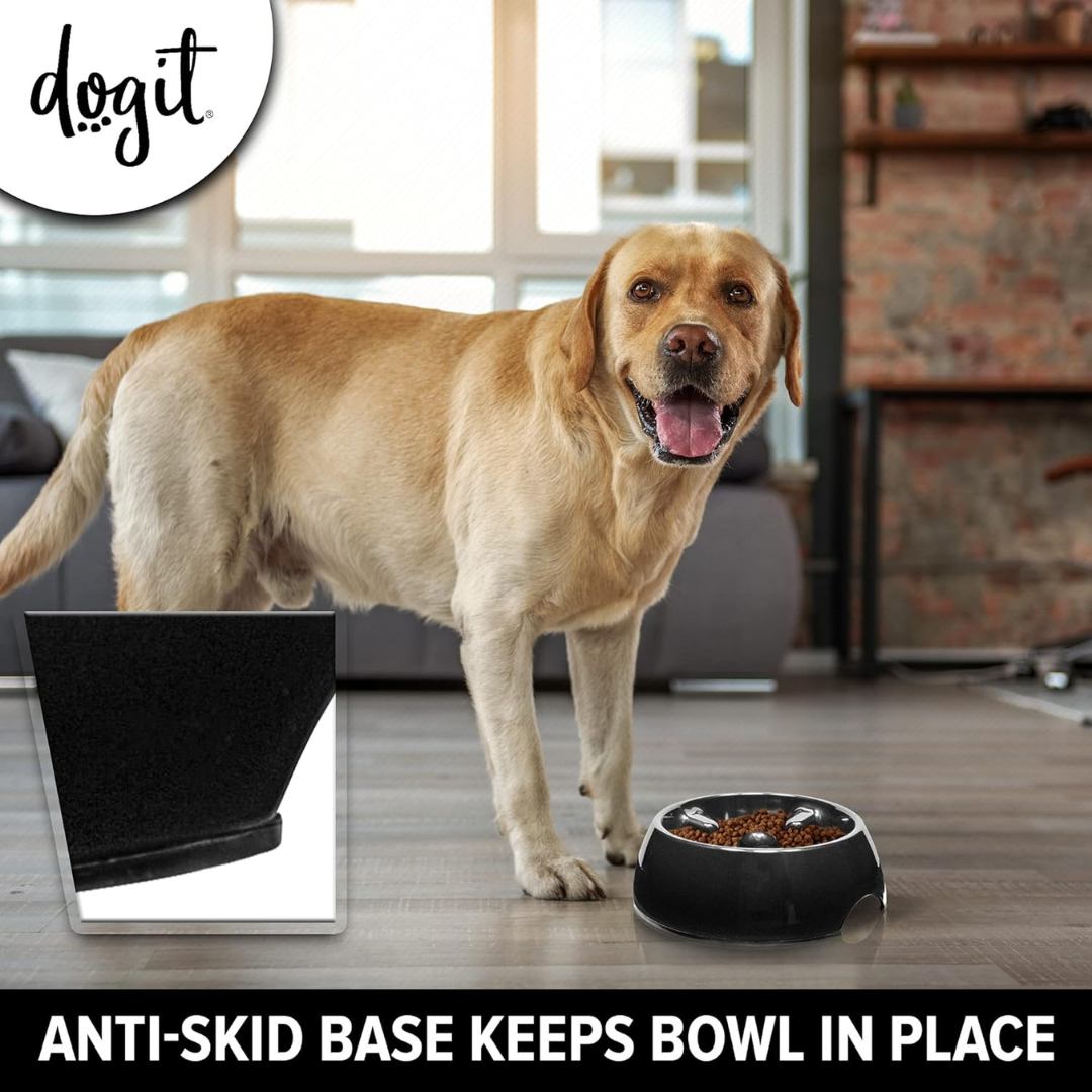 Labrador with a anti gulp bowl with the text "anti skid base keeps the bowl in place"