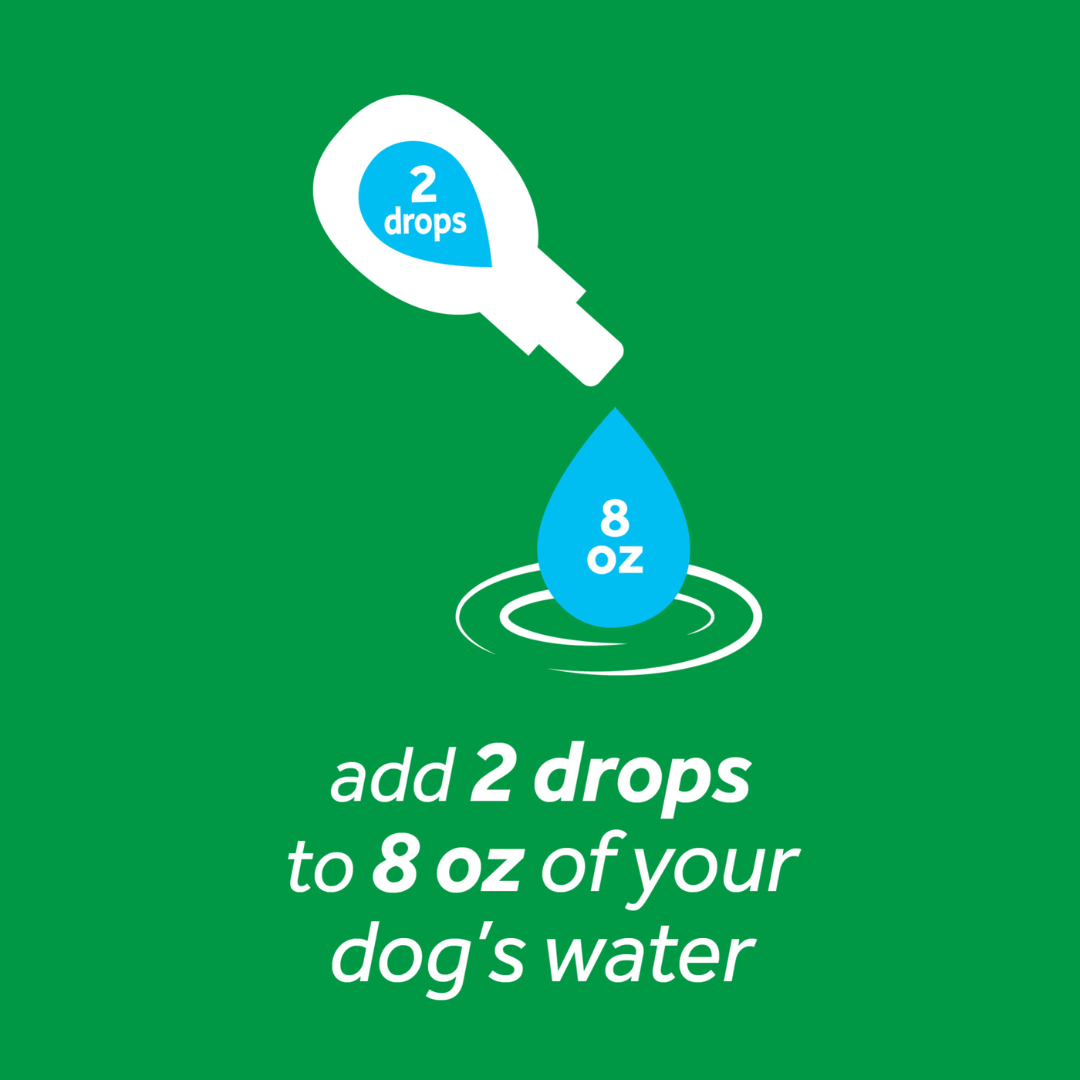 Add two drops of Tropiclean fresh breath drops to 8oz of your dog's water.