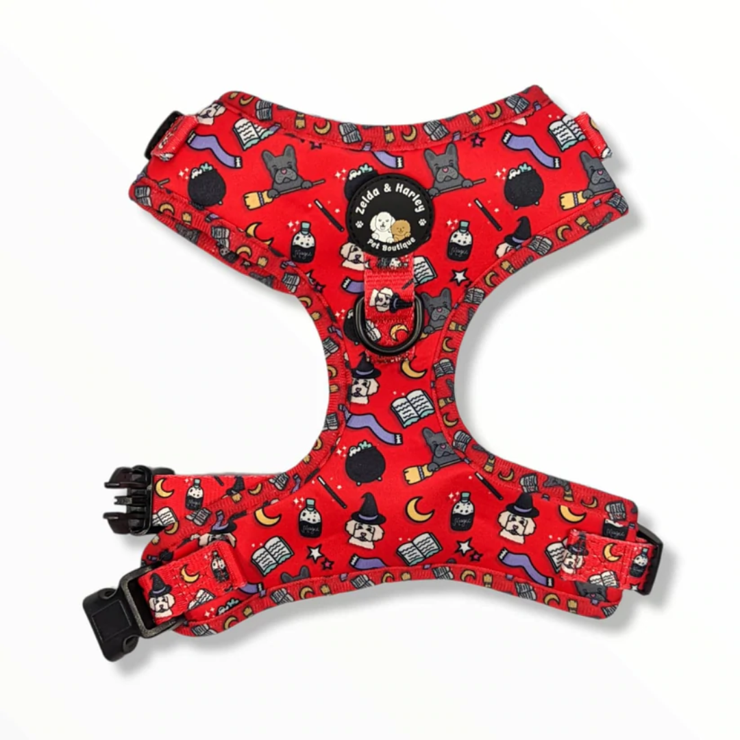 Zelda and Harley Red Hairy Pawter Harness