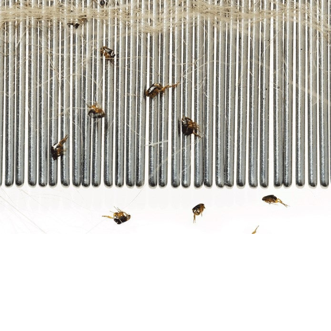 Ancol Ergo Flea Comb