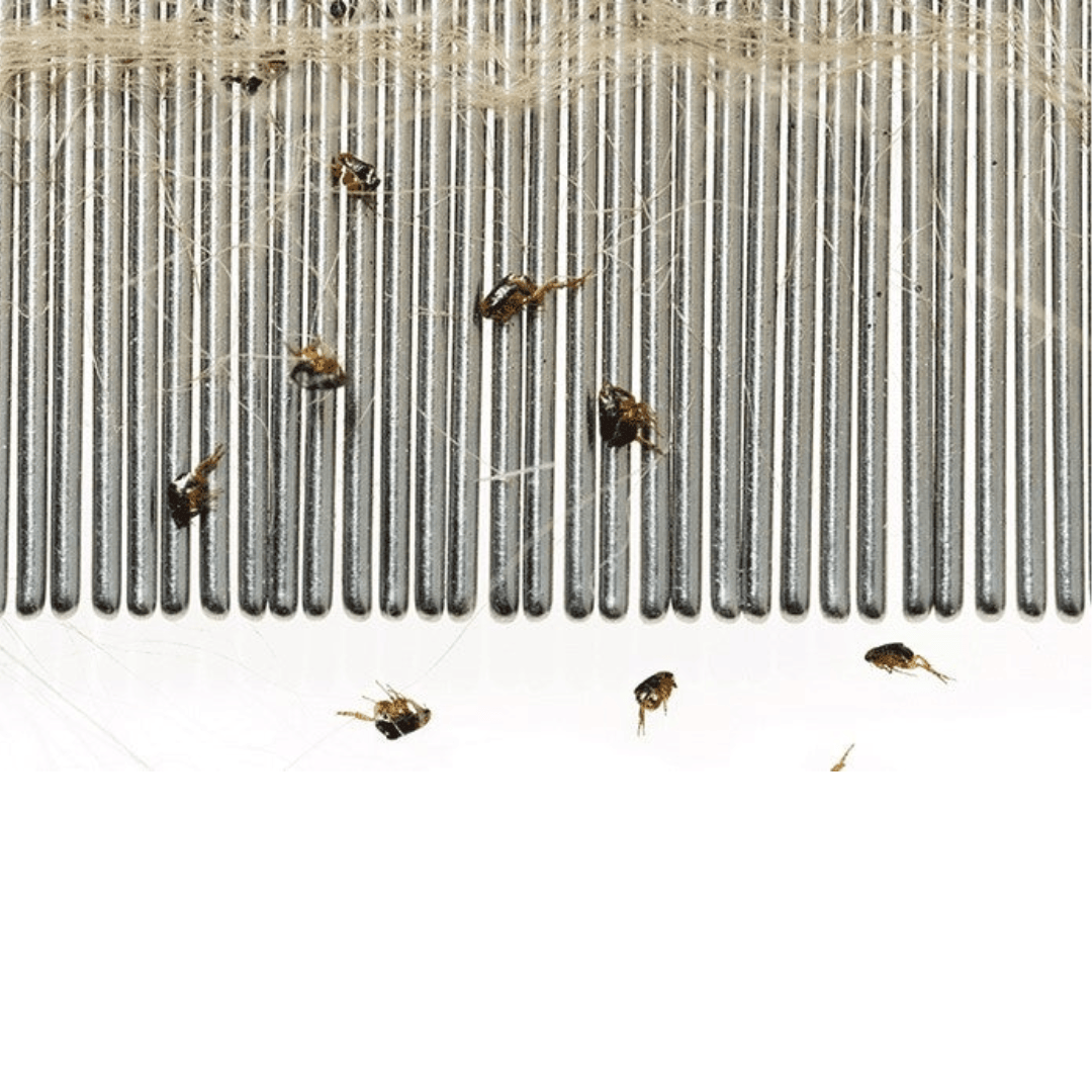 Ancol Ergo Flea Comb