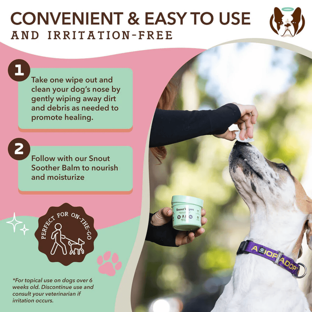 Natural Dog Company Snout Soother Wipes