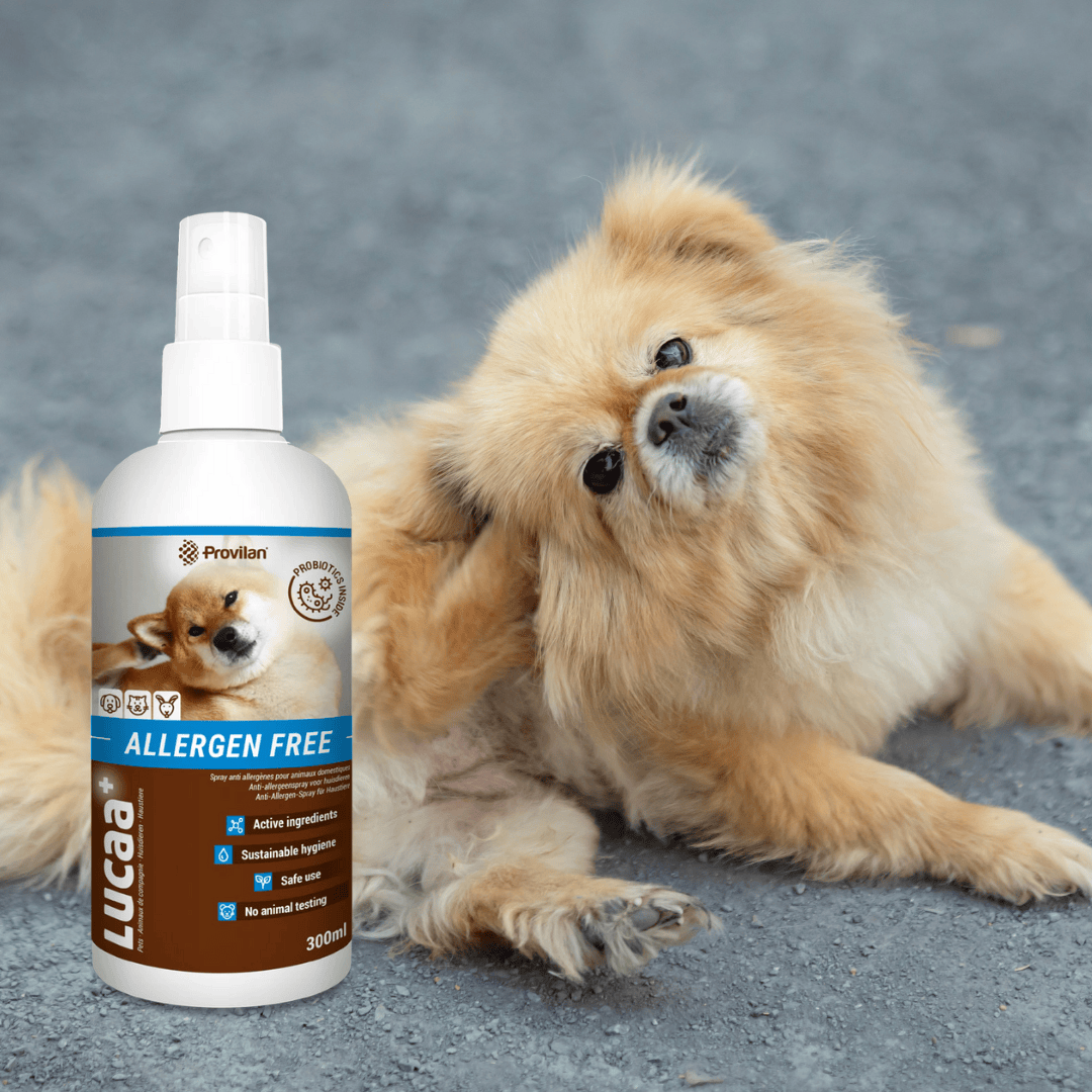 Probiotic Allergen Free Pet Spray | Provilan Lucaa+