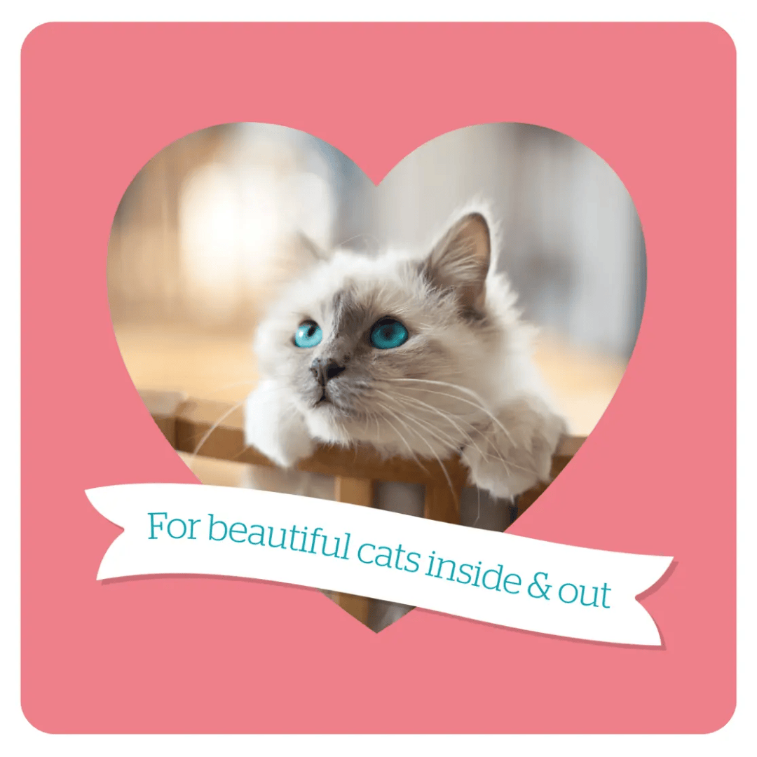 An infographic by Burgess with a cat and the phrase "For beautiful cats inside & out"