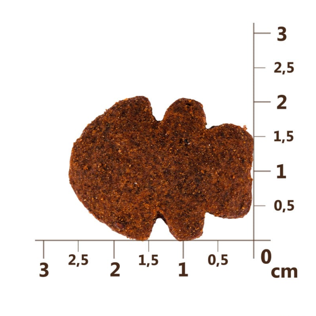The measurements of the Carnilove Salmon with Blueberries Crunchy Dog Treats. 2.5cm x 2cm