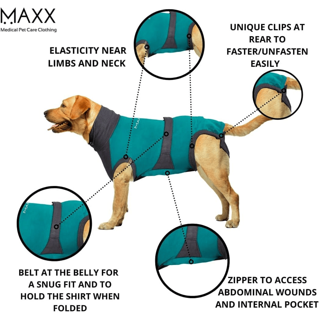 MAXX Surgical Recovery Suit for Dogs