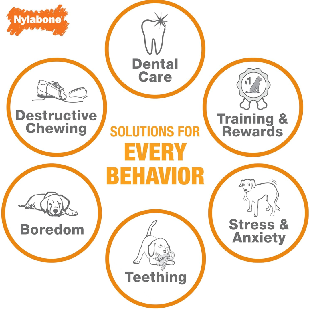 Nylabone Bacon Puppy Keys Chew