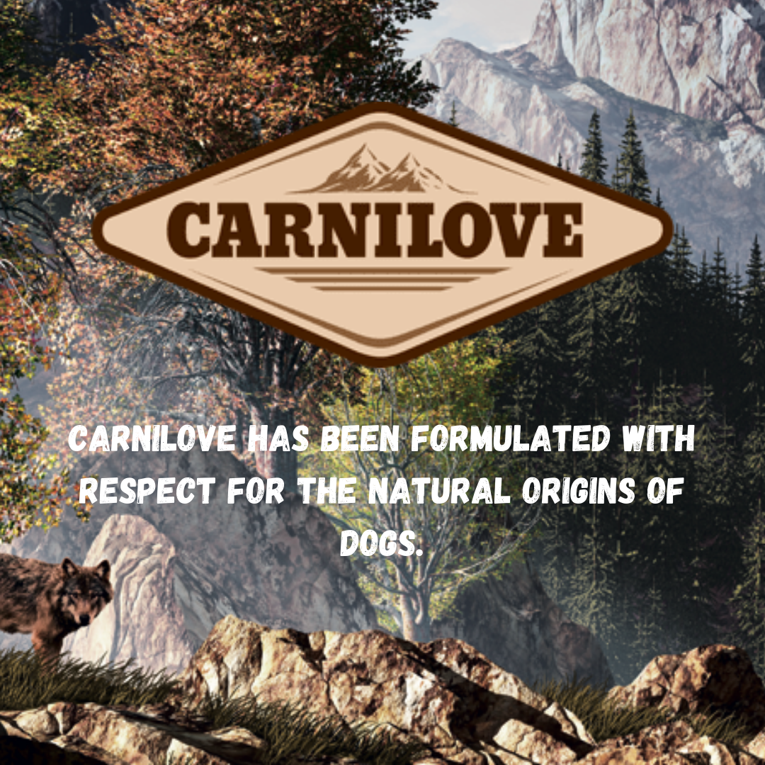 An infographic with the Carnilove logo and their phrase "Carnilove has been formulated with respect for the natural origins of dogs". In the background there is a mountain range, a forest and in the foreground a wolf looking at the camera