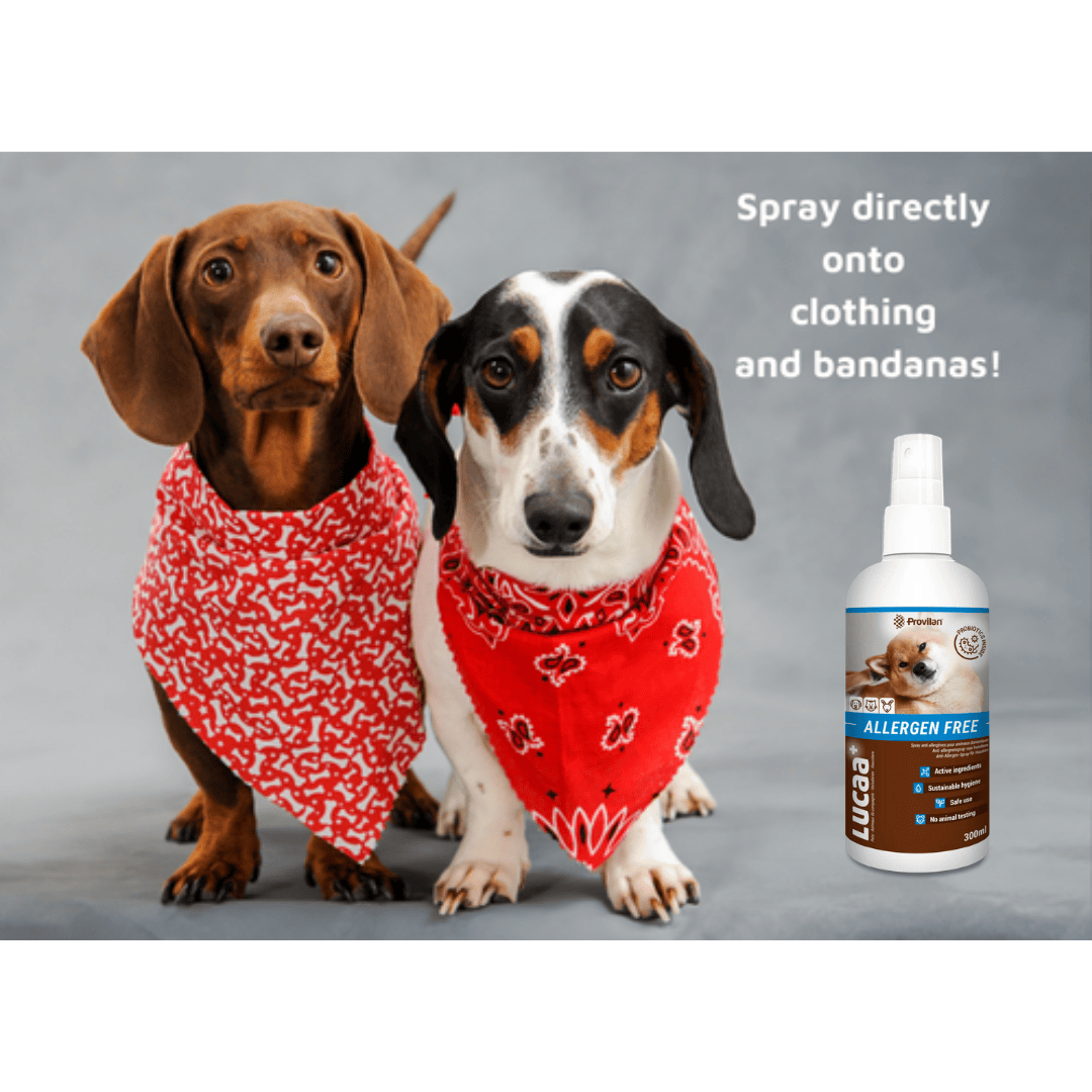 Probiotic Allergen Free Pet Spray | Provilan Lucaa+