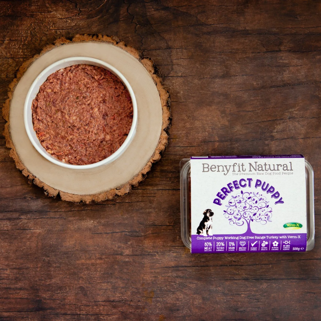 A bowl of Benyfit Perfect Puppy Turkey Complete pictured beside its packaging.