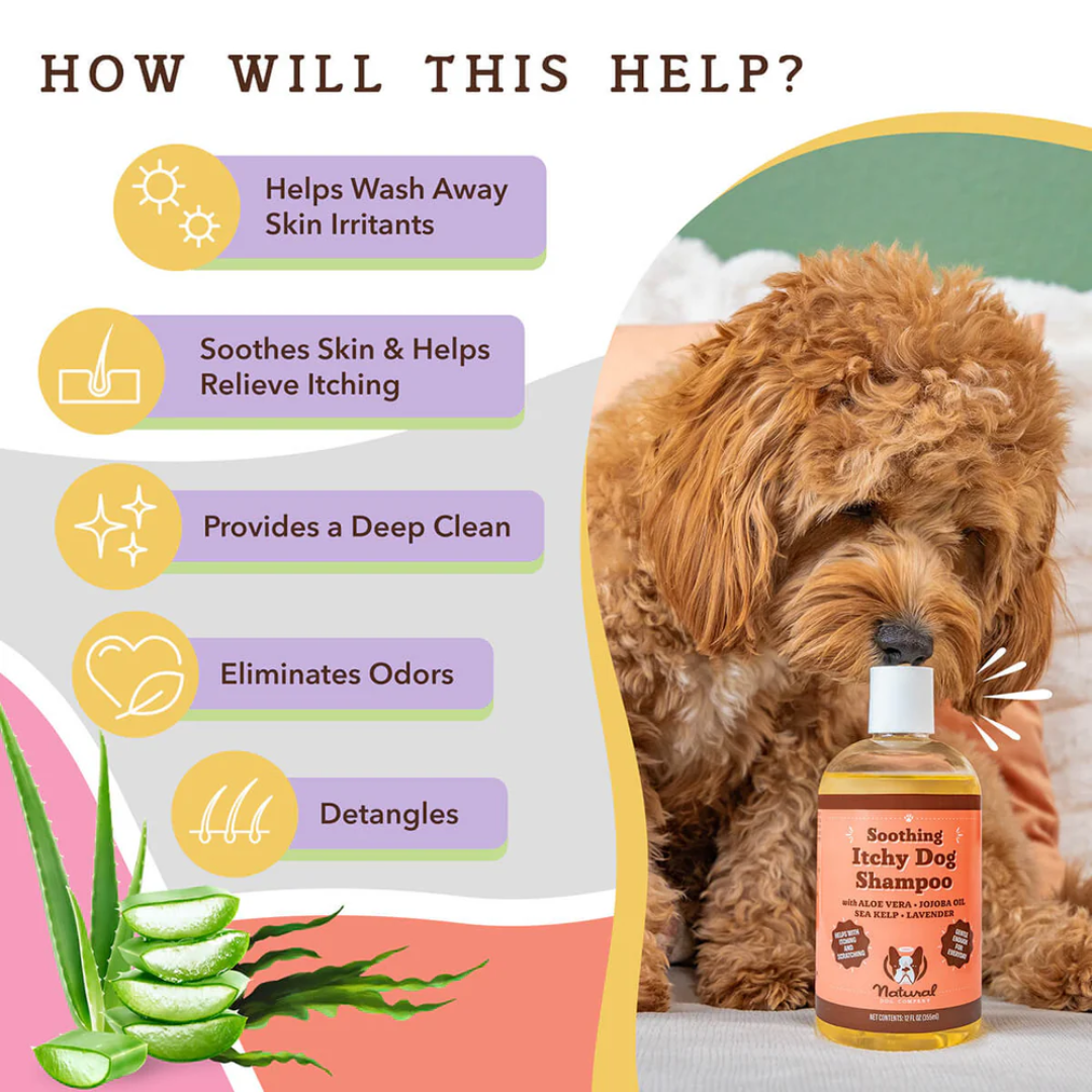 Benefits of the Natural Dog Company Itchy Dog Shampoo.