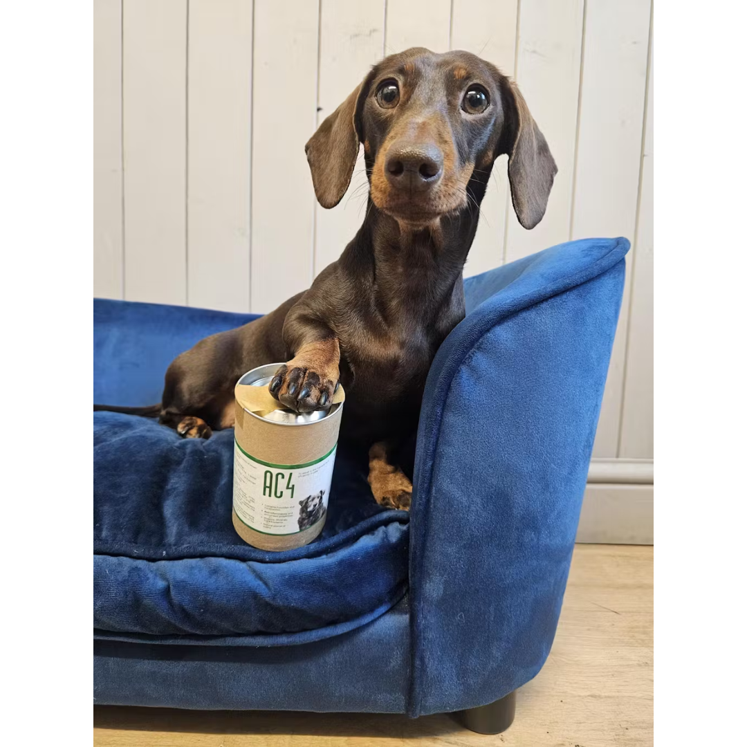 AC4 | Assists in the Fight Against Cancer